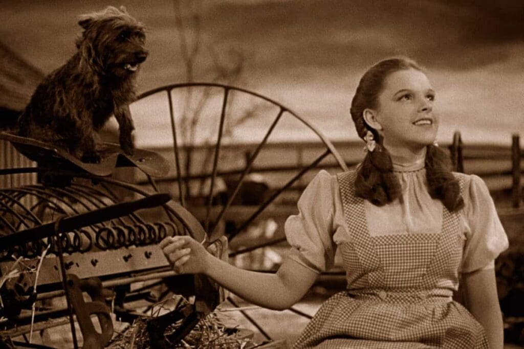Wizard-of-Oz-2